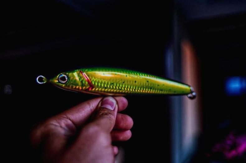 Guma spinningowa Abu Garcia Beast Curl Tail – przynęta stworzona do łowienia dużych ryb!